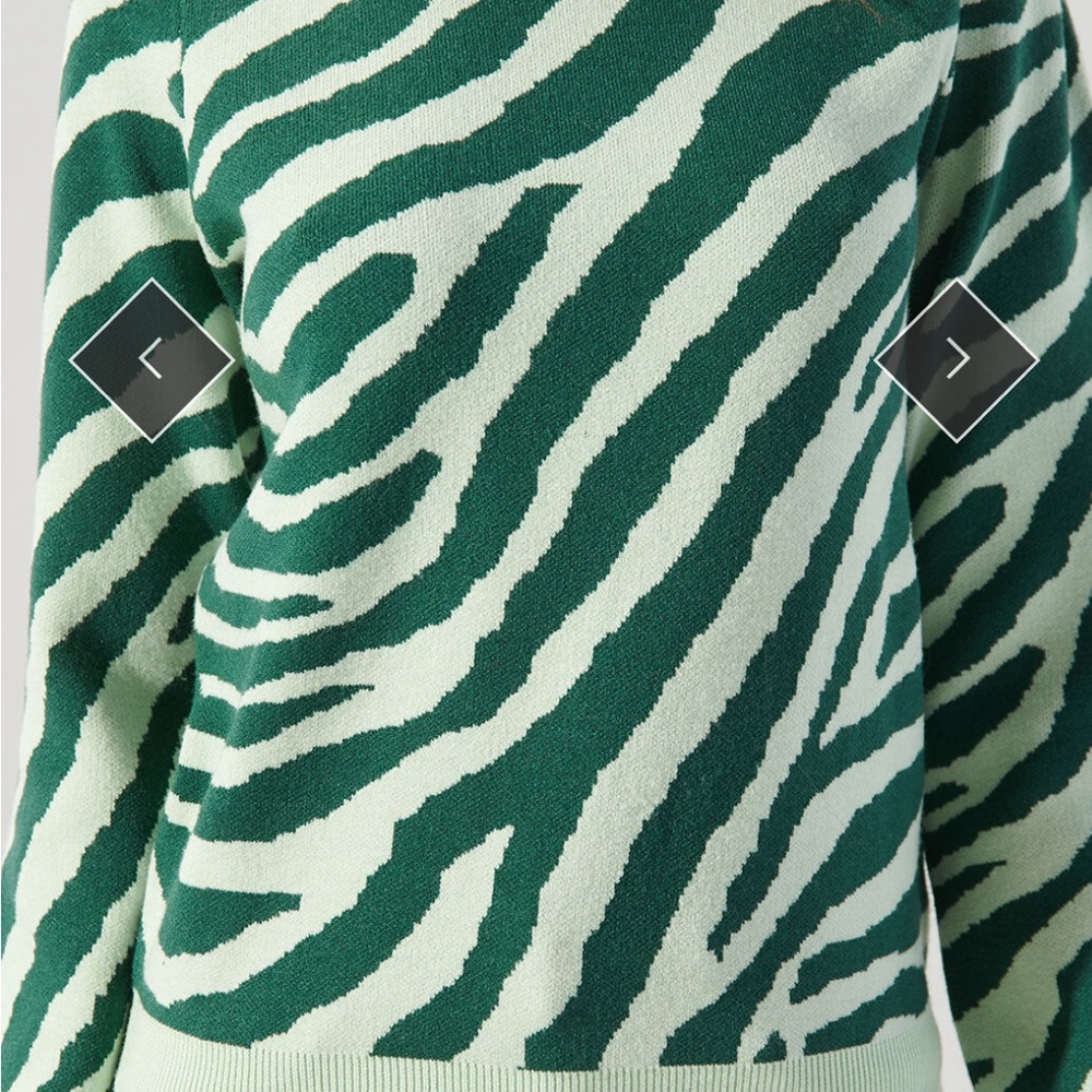 Sugarlips Mint and Dark Green Zebra Sweater - Picture 3 of 6
